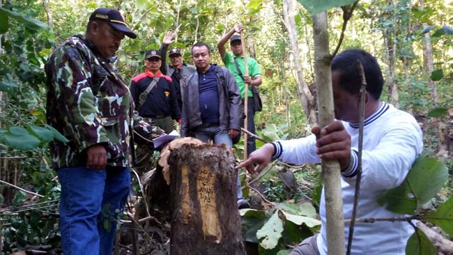 Polsek Kendit dan Perhutani Hadang Mobil KIA Muat Kayu Curian