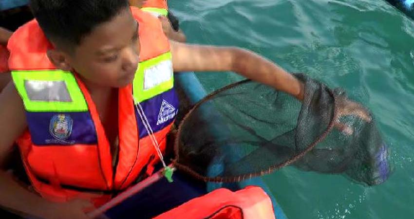 D'Karangtekok Situbondo, Wisata Edukasi Pungut Sampah, Petualang Susuri Mangrove