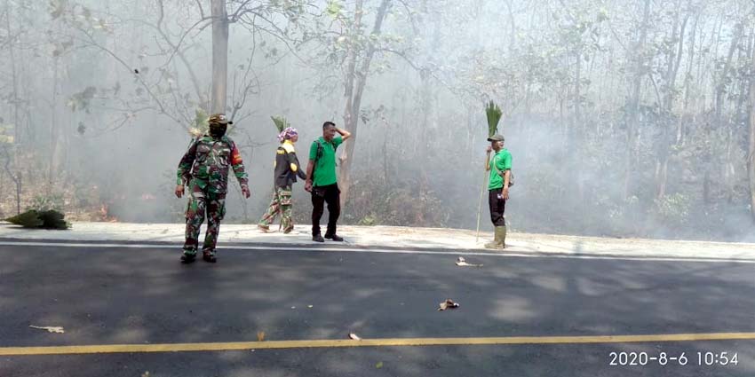 8 Ha Hutan Jati di Taman Nasional Baluran Terbakar