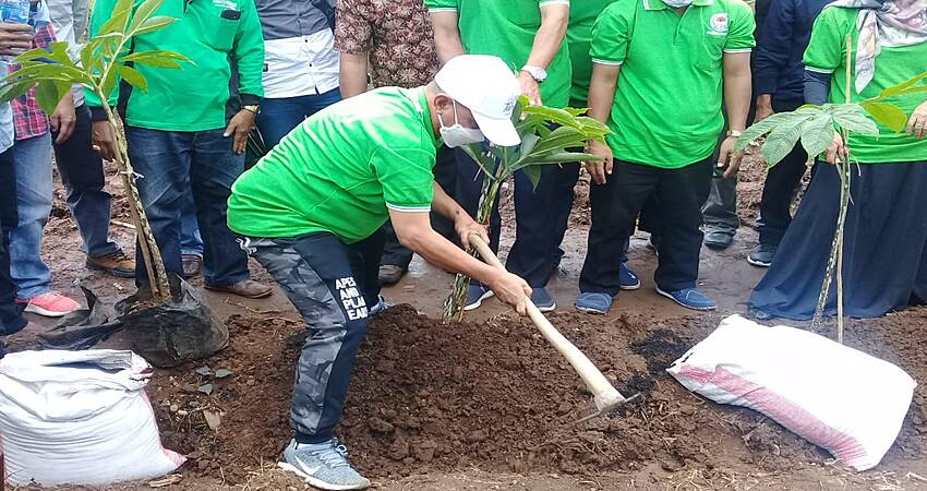 Usai Dilantik, Bung Karna Lakukan Penanaman Porang Secara Simbolis