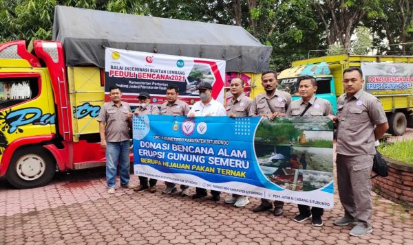 Disnakkeswan dan DPC Paravetindo Situbondo Kirim Pakan Ternak Sorgum ke Lokasi Bencana Gunung Semeru