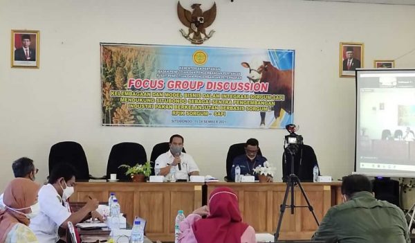 Kementerian Pertanian RI Gelar FGD untuk Dukung Situbondo sebagai Sentra Pengembangan Industri Pakan Ternak Berbasis Sorgum