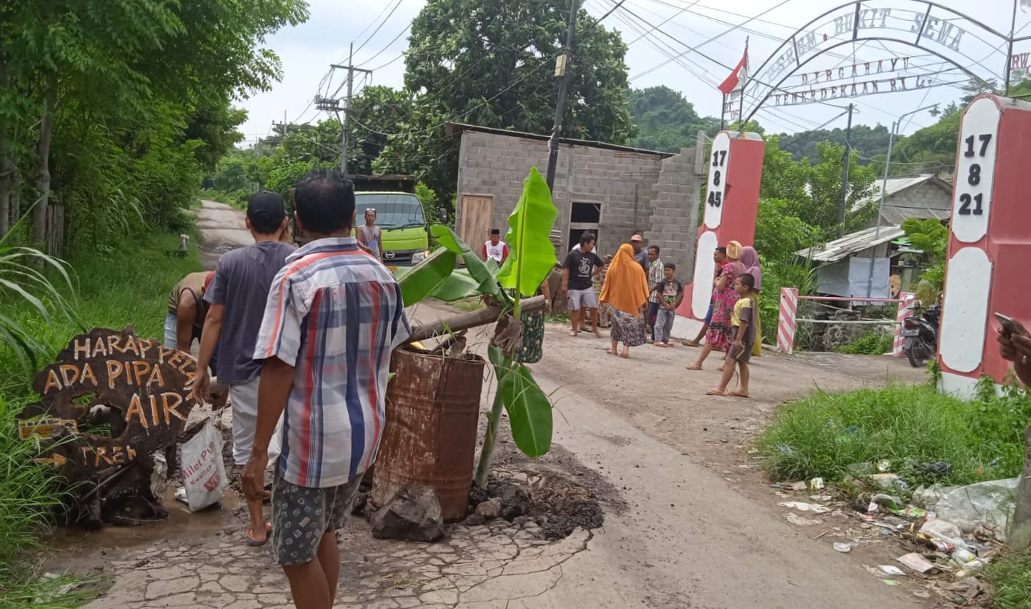 Kesal Jalan Rusak Tak Kunjung Diperbaiki, Warga Ardirejo Situbondo Tanam Pohon Pisang