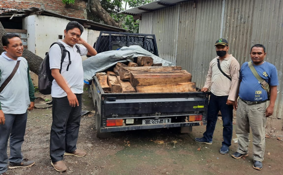 Tiga dari Lima Orang Diamankan Perhutani berikut Mobil Pikap Bermuatan Puluhan Balok Kayu Sonokeling