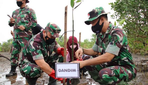 Jaga Pelestarian Biota Laut, Kodim 0823 Tanam Mangrove di Pantai Wisata Kampung Blengkok Situbondo