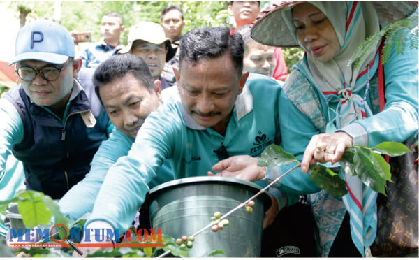 Hadiri Festival Petik Kopi, Bupati Situbondo Ingatkan Petani Dalam Menjaga Kualitas Kopi