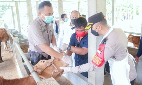 Cegah Penyebaran, Kapolres Situbondo bersama Disnakeswan Kompak Pantau Hewan Ternak