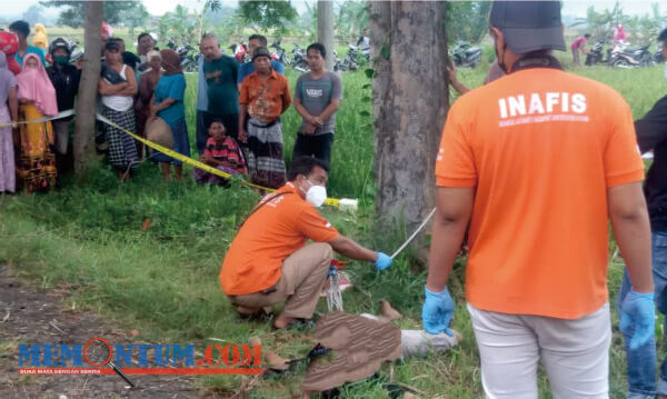 Mayat Pria Tanpa Identitas dan Diduga Korban Pembunuhan Ditemukan di Dusun Pengabetan Tengah Situbondo