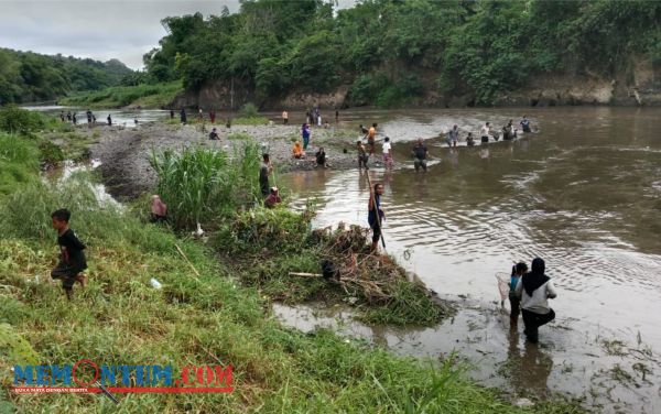 Melihat Tradisi Asatan Situbondo, Ratusan Warga Tumpek Blek Berburu Ikan di Sungai Sampean Baru