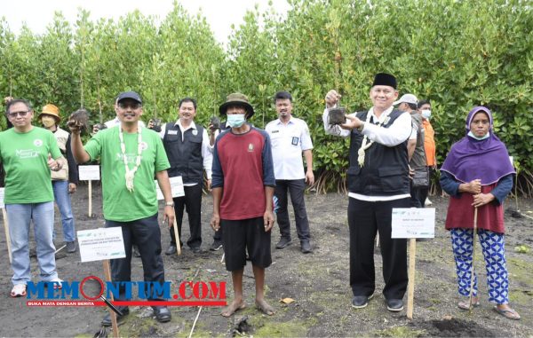 Cegah Abrasi, Dirjen PPDT bersama Sekdakab Situbondo Sebar 6 Ribu Bibit Mangrove di Pantai Cemara