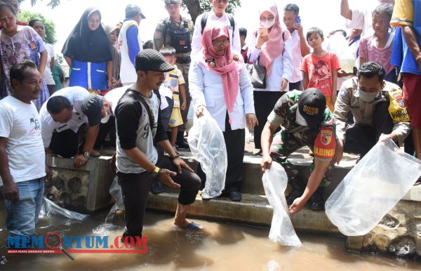 Jaga Ekosistem Ikan di Situbondo, Disnakkan Sebar Ratusan Ribu Benih di Aliran Sungai