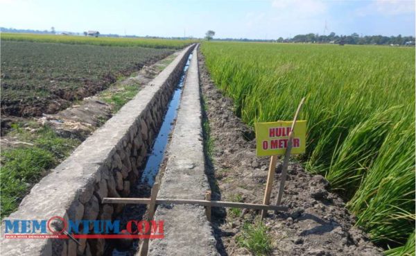 Kembali Jadi Sasaran Program P3-TGAI, Kades dan HIMPPA Sampaikan Jika Bantuan Tepat Sasaran