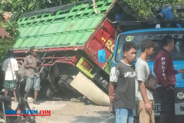 Lagi, Truk Muatan Sapi Terlibat Laka di Jalur Pantura Situbondo, Satu Meninggal